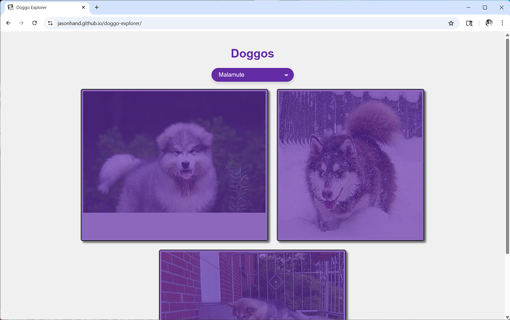 Doggo Explorer Screenshot
